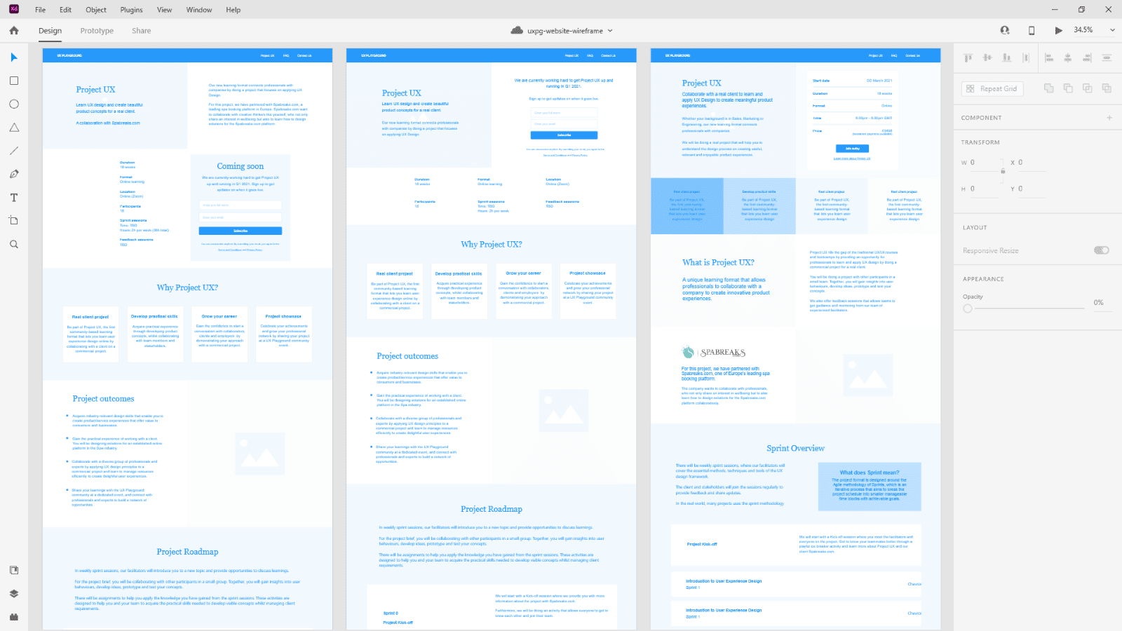 Wireframe variations for the Project UX landing page